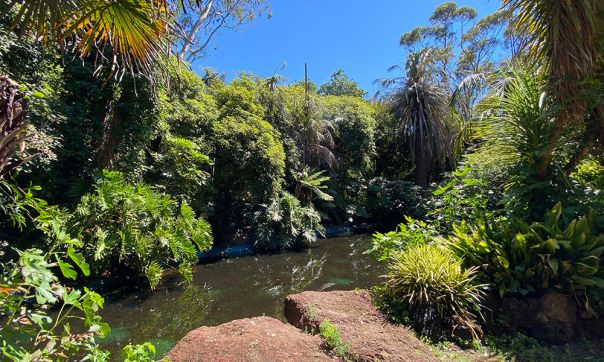 Rosalind Park, Bendigo
