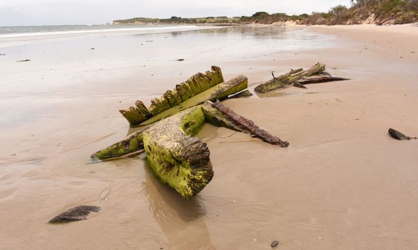 Amazon, Inverloch