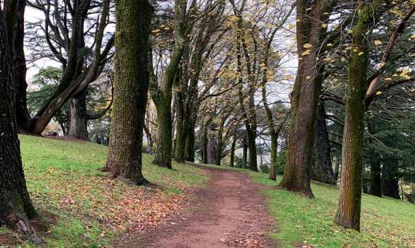 Daylesford Botanical Gardens